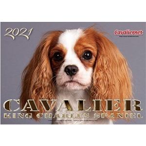 キャバリアネット（CavalierNet）　キャバリアカレンダー2021