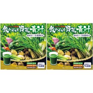 飲みごたえ野菜青汁 30包 2箱セット 銀座ステファニー