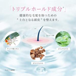 アンファー スカルプD ボーテ 薬用トリートメ...の詳細画像2
