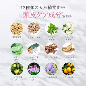 アンファー スカルプD ボーテ 薬用トリートメ...の詳細画像3
