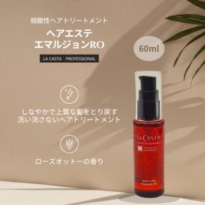 La CASTA（ラ・カスタ） プロフェッショナル ヘアエステ スリーク