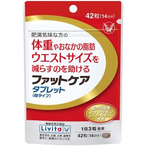 大正製薬 ファットケア タブレット 42粒 14日分｜brhouse