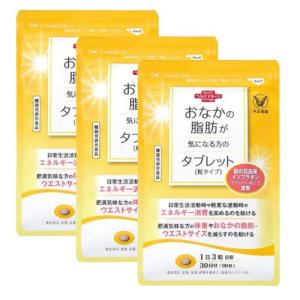 キラーバーナー2 KILLER BURNER II 90粒 大容量 : BRハウス Yahoo!店