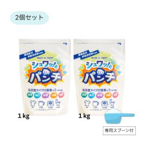 シュワッとパンチ 1kg 2個セット 専用スプーン付