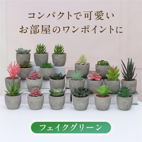 5点セット フェイクグリーン ミニ 人工観葉植物 人工多肉植物 観葉植物 インテリア グリーン お世...