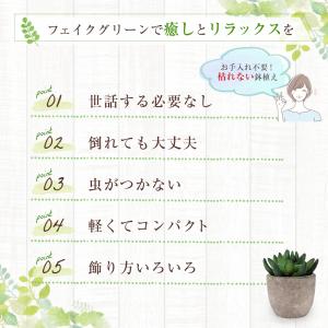 5点セット フェイクグリーン ミニ 人工観葉植...の詳細画像2
