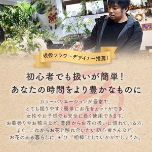選べる6色 花ばさみ 花挟 花切りばさみ 花 ...の詳細画像2