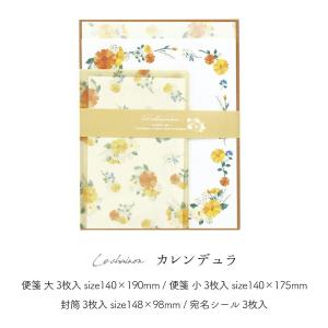 レターセット おしゃれ 手紙 大人 横 トーレ...の詳細画像4