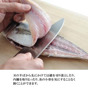 包丁 出刃包丁 16cm 刺身包丁 21cm ...の詳細画像4