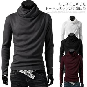 DRIES VAN NOTEN ドリスヴァンノッテン 長袖 カットソー HEGER