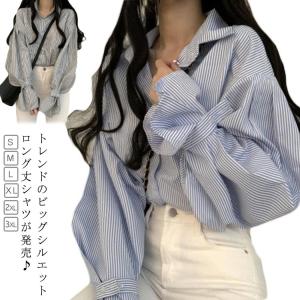 レディース シャツブラウス 長袖 シャツブラウス 春 長そで レディース 夏秋 ボリューム袖 襟付き シャツ おしゃれ 秋 ボリューム袖 シャツブラウ