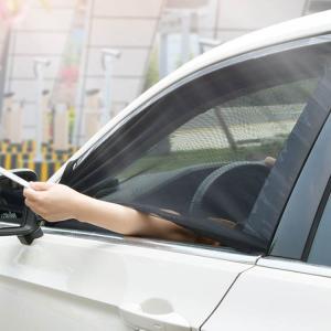 ウインドウネット 車用 夏用 ウィンドーネット...の詳細画像2