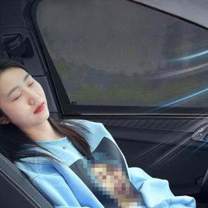 ウインドウネット 車用 夏用 ウィンドーネット...の詳細画像4