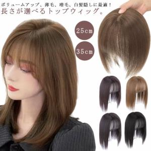 ウィッグ 部分ウィッグ 部分かつら かつら ウ...の詳細画像5