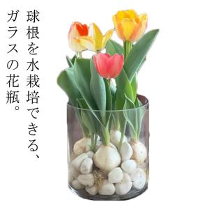 並行輸入品】特大ムラーノガラス花瓶 吹きガラス花瓶 ユニークな花瓶