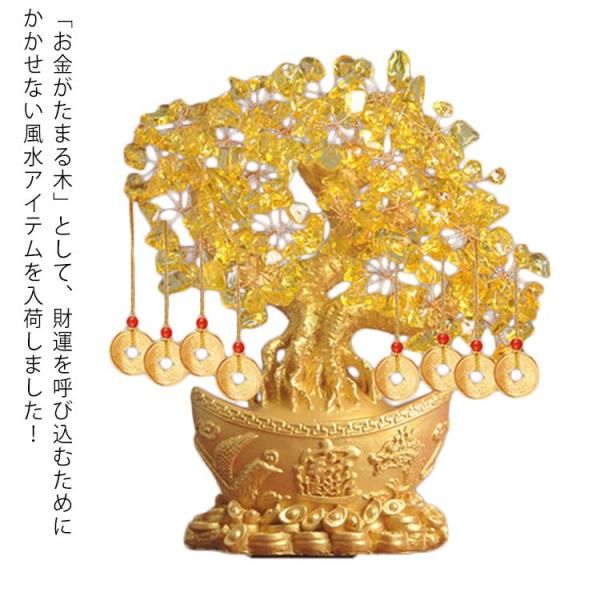 元宝 黄金木 招財樹 金のなる木 金の成る木 黄水晶 置物 置き物 Mサイズ 黄水晶 風水アイテム ...