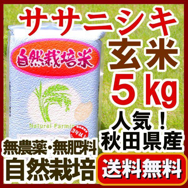 『無農薬玄米 ササニシキ 5kg 』2024年産　真空パック 長期保存の備蓄用として 自家採種米  ...