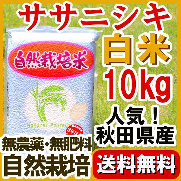 『無農薬ササニシキ 白米 10kg 』2024年産 真空パック 5kg×2　長期保存用の備蓄米として...