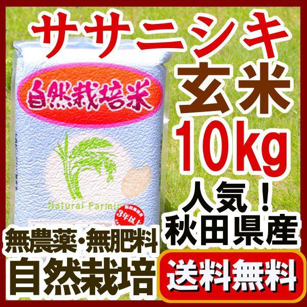 『無農薬玄米 ササニシキ 10kg 』 2024年産 真空パック 5kg×2　長期保存の備蓄用として...