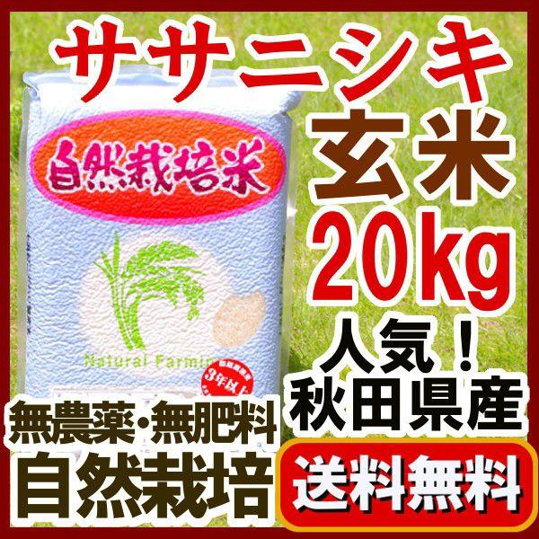 『無農薬玄米 ササニシキ 20kg 』2024年産 真空パック 5kg×4　長期保存の備蓄用として ...
