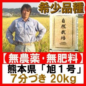 無農薬米 旭1号 2023年産(令和5年) 熊本産 7分づき 20kg　｜bridgeit