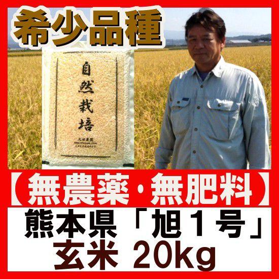九州の無農薬玄米 『旭1号』20kg 2023年産(令和5年) 自然栽培米  元田農園（熊本県）