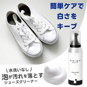 ゴルフ シューズ 靴の汚れ落とし お手入れ メンテナンス用品 シューズクリーナー 泡洗浄 靴洗い 靴ケア すすぎ不要 BRIGAGOLF ブリガゴルフ｜BRIGAGOLF公式