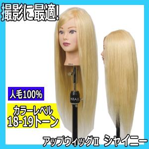 N.B.A.A. 美容師 おすすめ 人毛100％ ウィッグ マネキン アップ