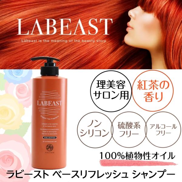 サロン専売 プロ用 シャンプー 紅茶の香り ラビースト ベースリフレッシュ 550ml ポンプ 美髪...