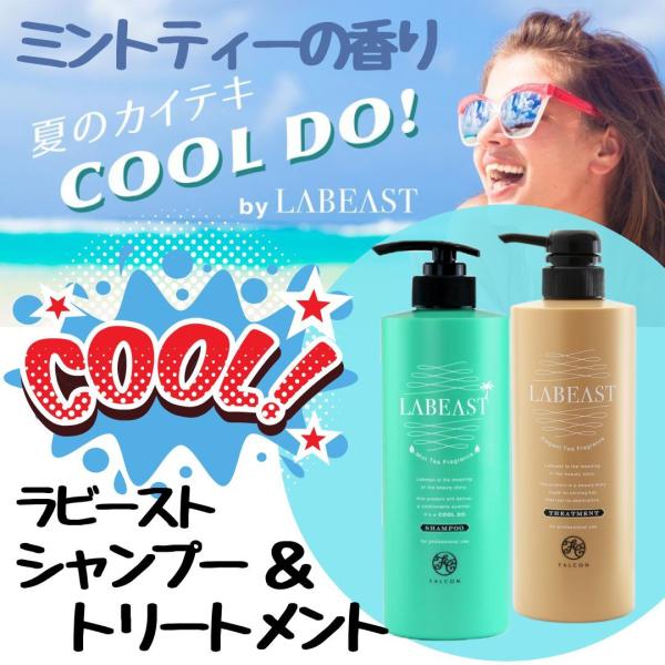 夏 すっきり シャンプー トリートメントコンディショナー 美容院 サロン用 業務用 美髪 ラビースト...