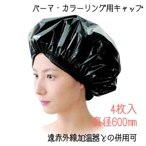 フェイバリットカラーシステム 10本 染毛用 カラーリングレシピ用 毛束