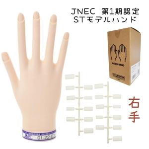 JNEC認定 滝川 STモデルハンド 右手 ネイルチップ付き 第1期JNEC認定モデルハンド 01-22-01 ネイリスト技能検定試験 タキガワネイル｜bright08