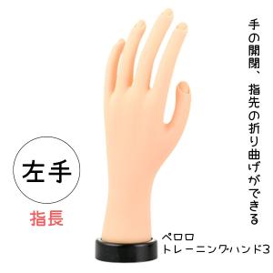 JNEC認定 STモデルハンド 右手 チップ差込式(ネイルチップ付き)/ハンド