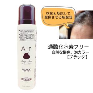 ムース状 白髪カバー エアーホイップカラー ダークブラウン 70g ワン