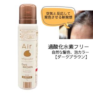 大容量 ヘアボーテエクラ ボタニカル エアカラーフォーム EX ダーク