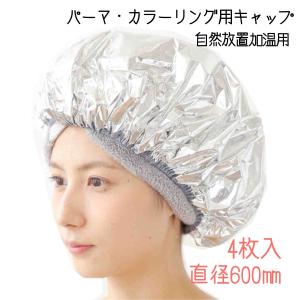 フェイバリットカラーシステム 10本 染毛用 カラーリングレシピ用 毛束