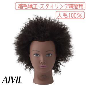 カットウィッグ　カットマネキン　美容師　国家試験　ユーカリジャパン 美容師国家試験 カットウィッグ ユーカリジャパン 24-12-24