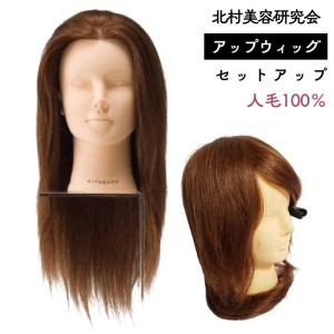 美容師 人毛100％ ヘアアレンジ セットアップウィッグ 茶髪 キタムラ アップウィッグ アップスタイルの練習に KITAMURA｜bright08