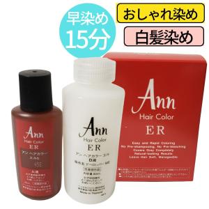 アリミノ クイックカラー プロ用 ヘアカラー剤 白髪染め 放置時間10