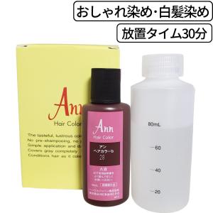 ソリコちゃん 替刃 WCN ウィルキンソンWII 5個入り 24個（120個） 理容