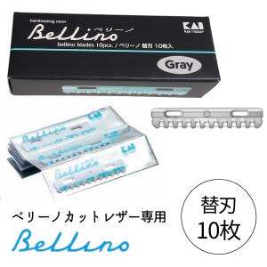 Cランク トギノン TOGINON Hi-skill Queen FX 5.8 セニング 美容師