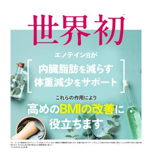 ダイエットサポート サプリ リゲイン スリムマ...の詳細画像3