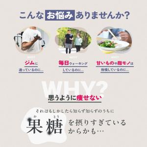 ダイエットサポート サプリ リゲイン スリムマ...の詳細画像4