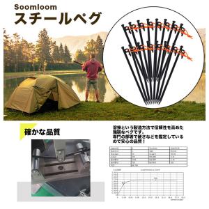 ペグ スチールペグ(16本セット)(25cm)...の詳細画像1