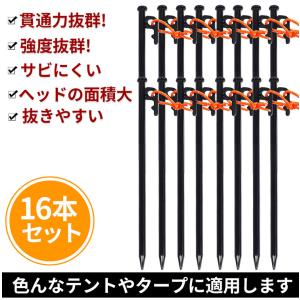 ペグ スチールペグ(16本セット)(25cm)...の詳細画像2