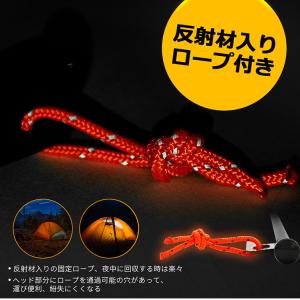 ペグ スチールペグ(16本セット)(25cm)...の詳細画像4