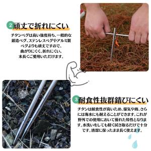 チタンペグ 6-10本セット 20cm 25c...の詳細画像5