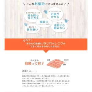 フォームローラー2点セット ヨガポール Soo...の詳細画像3