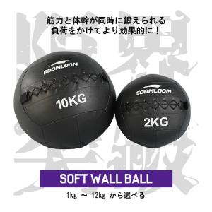 SOOMLOOM 10kg メディシンボール ...の詳細画像1