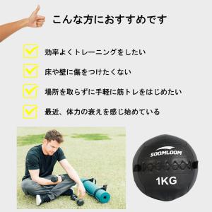 SOOMLOOM 10kg メディシンボール ...の詳細画像3
